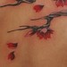 Tattoos - America's Cherry Blossom branch - 50883